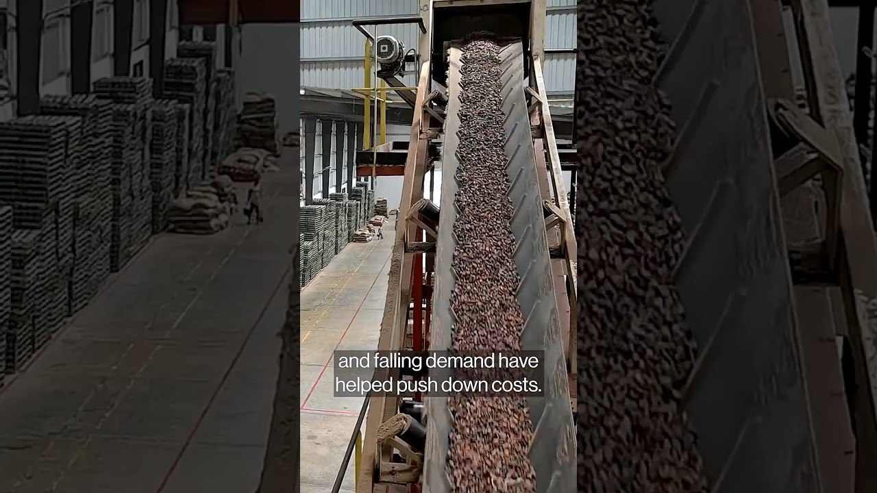 Cocoa Prices Are Plunging. Why Is Chocolate Still So Expensive?
