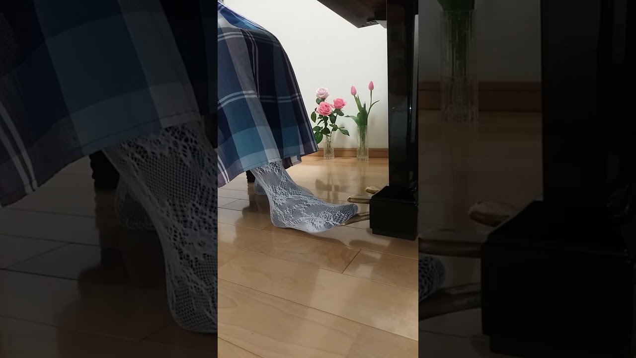 ツェルニーとHugの色々