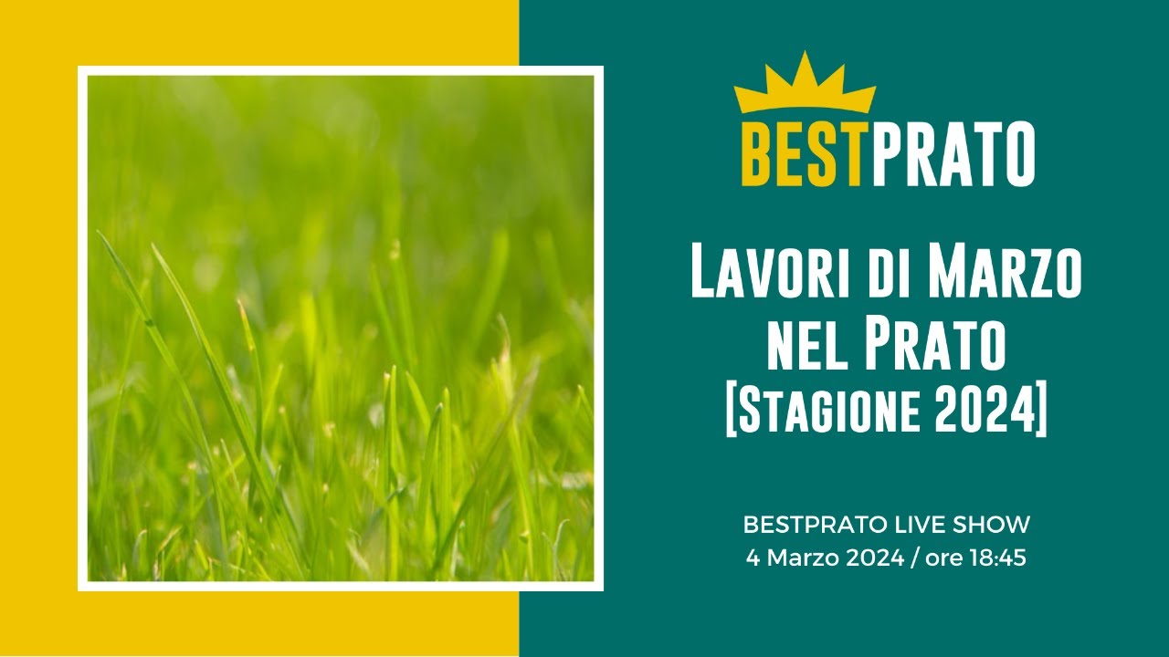GUIDA AI LAVORI DI MARZO NEL PRATO - STAGIONE 2024