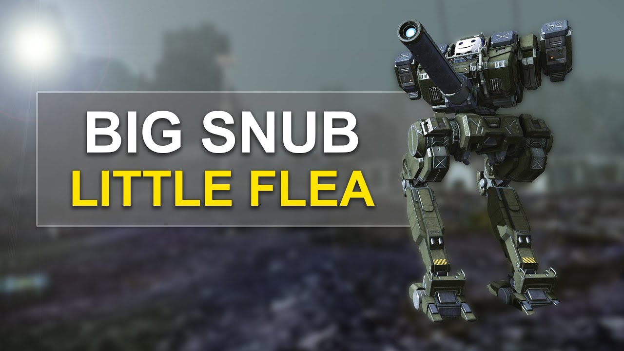 Little Flea with a BIG SNUB PPC- Mechwarrior Online (Flea Gameplay)