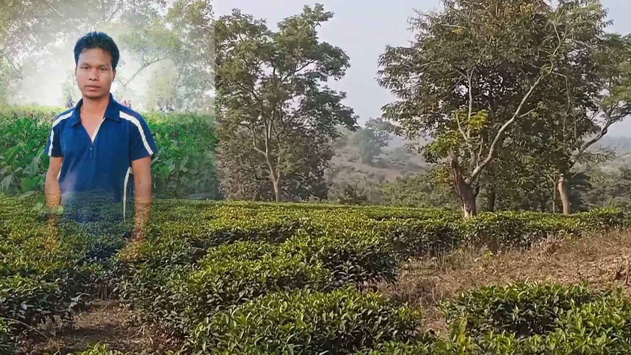 Lembu chora berai moni  video new song kaubru