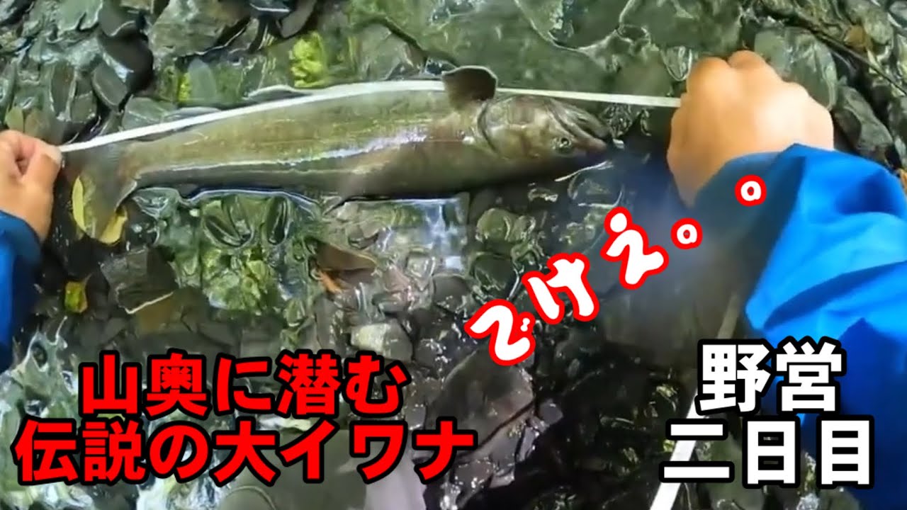 南アルプス深南部一泊二日釣行記〜源流の怪物を求めて【二日目】