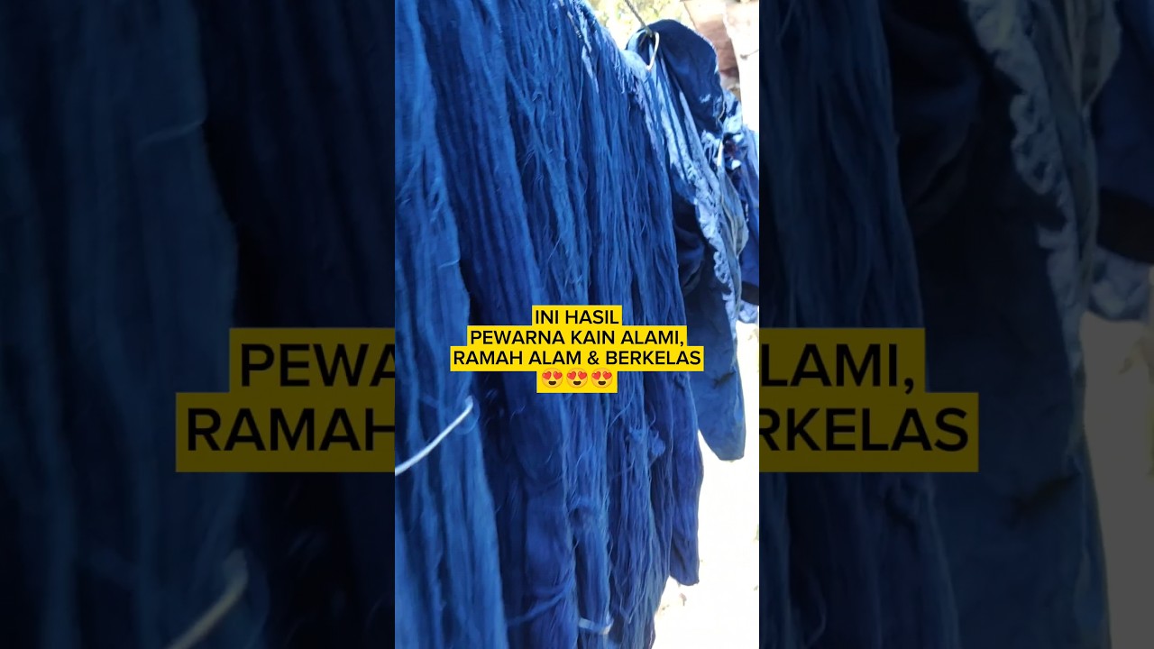 Pewarna alami dari daun indigovera, ramah alam dan berkelas. | SHIBIRU