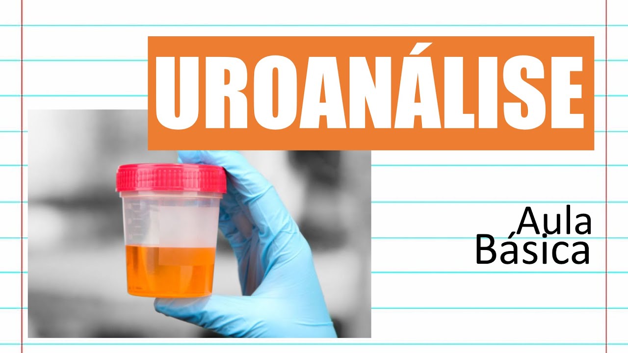 Aula Básica de Urinálise