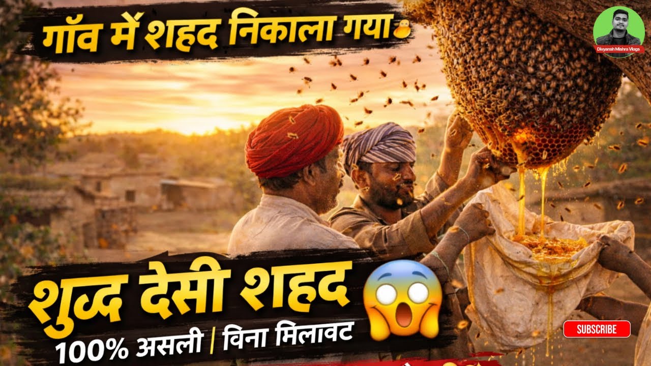Desi Shahad || Village Honey || Harvesting || Pure Honey || My Daily Vlogs 2026