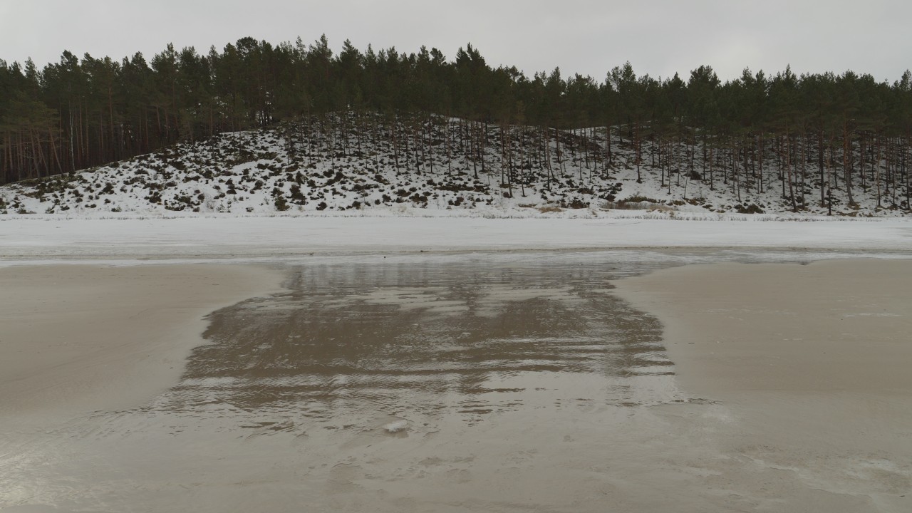 Dębki. Snow is Melting. Winter #22