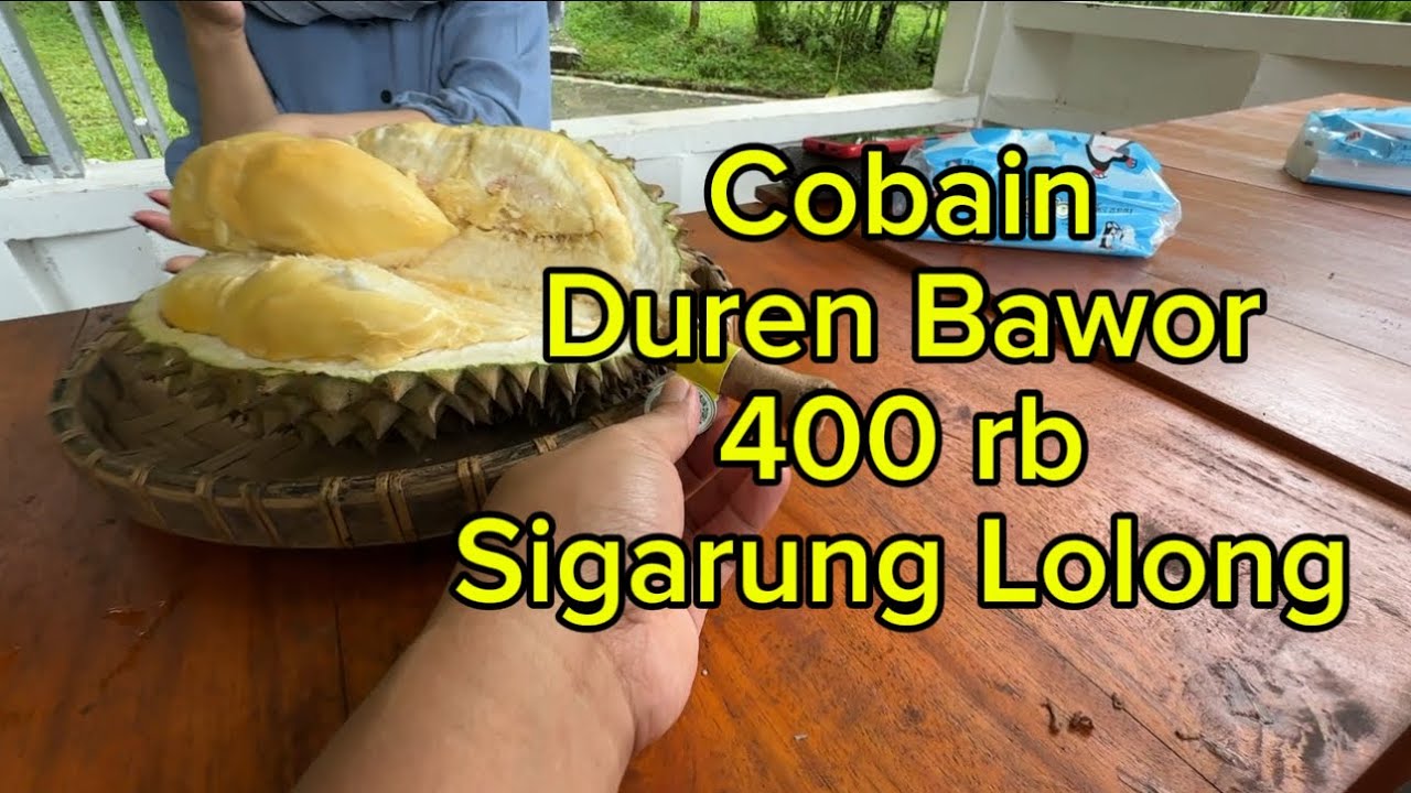 Kebun Durian Siagrung Lolong | Tempat Nyaman Makan Durian di Daerah Kabalong Karanganyar Pekalongan