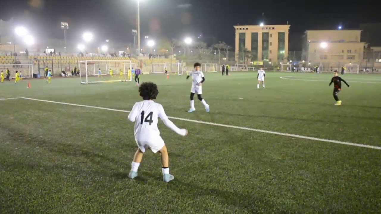 ملخص وادى دجلة واكاديمية عرابى مواليد 2010