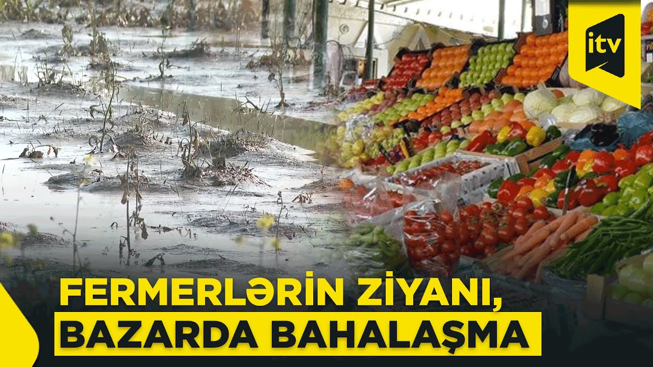 Məhsul qıtlığı bazarda qiymətləri artıracaq