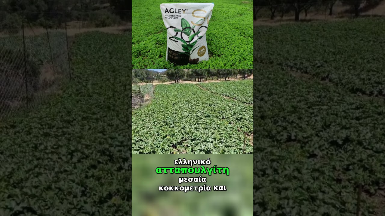 &Kappa;&alpha;&lambda;&lambda;&iota;έ&rho;&gamma;&epsilon;&iota;&alpha; &pi;&epsilon;&pi;&omicron;&nu;&iota;ά&sigmaf; &sigma;&epsilon; &pi;&omicron;&lambda;ύ ά&gamma;&omicron;&nu;&omicron; έ&delta;&alpha;&phi;&omicron;&sigmaf; &mu;&epsilon; &beta;&alpha;&sigma;&iota;&kappa;ή SuperOrgan, &alpha;&tau;&tau;&alpha;&pi;&omicron;&upsilon;&lambda;&gamma;ί&tau;&eta; &kappa;&alpha;&iota; Glomeron Soil