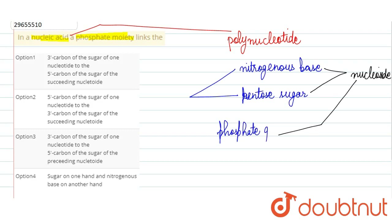 In a nucleic acid a phosphate moiety links the  | 11 | BIOMOLECULES | BIOLOGY | A2Z | Doubtnut