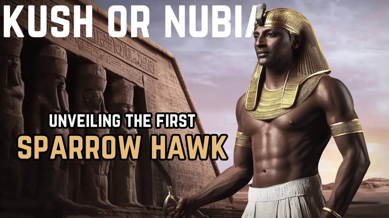 You Won't Believe Why Egyptologists Suppress the History of Nubia (Kush)