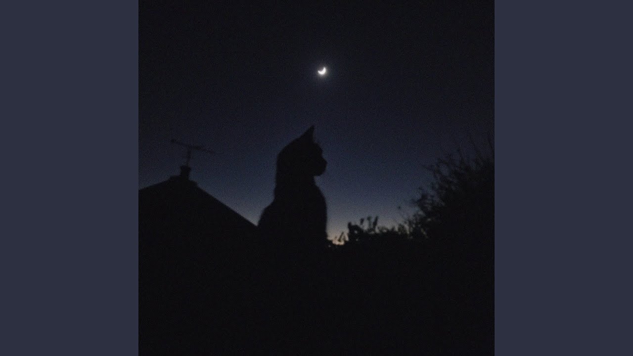 the night we met