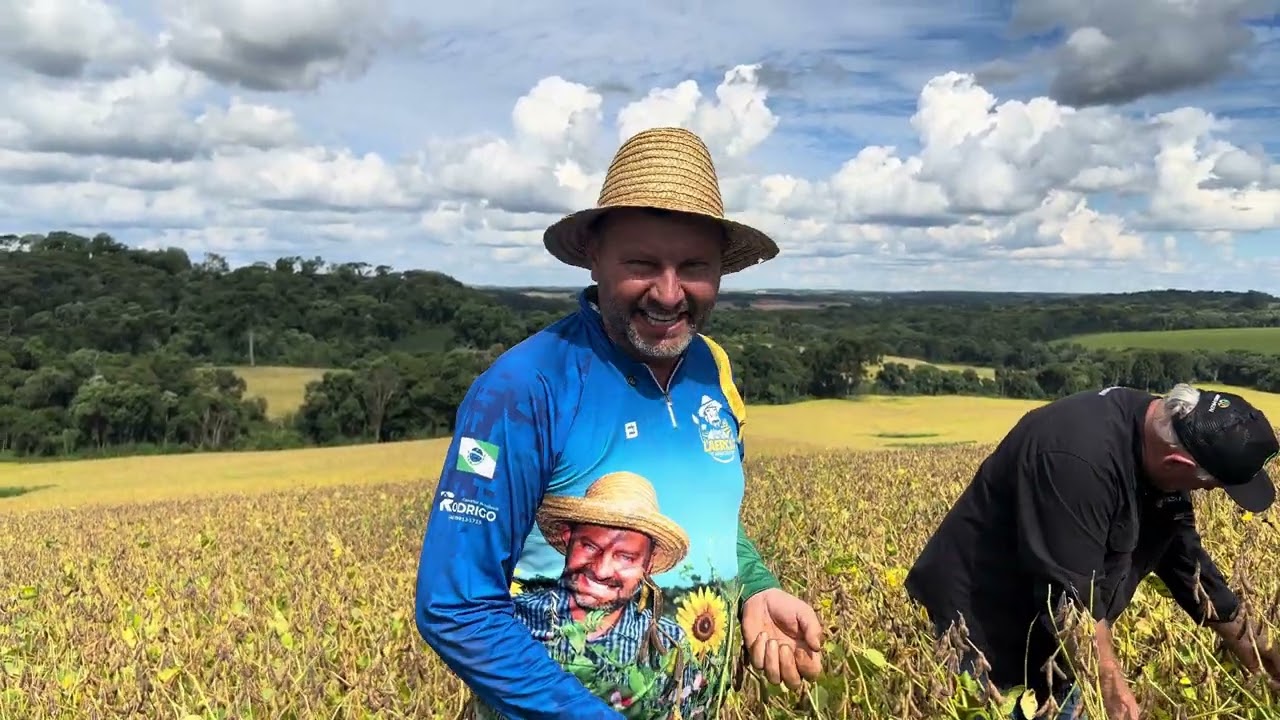 Um dos segredos para alta produção é deixar a planta confortável 👍🏻