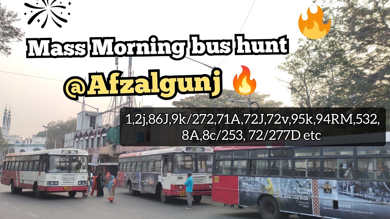 A Mass Morning bus hunt @Afzalgunj 🔥 