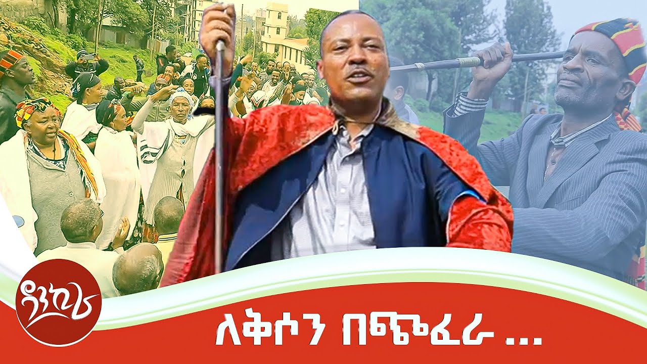 ጥበበኛው ዶርዜ!