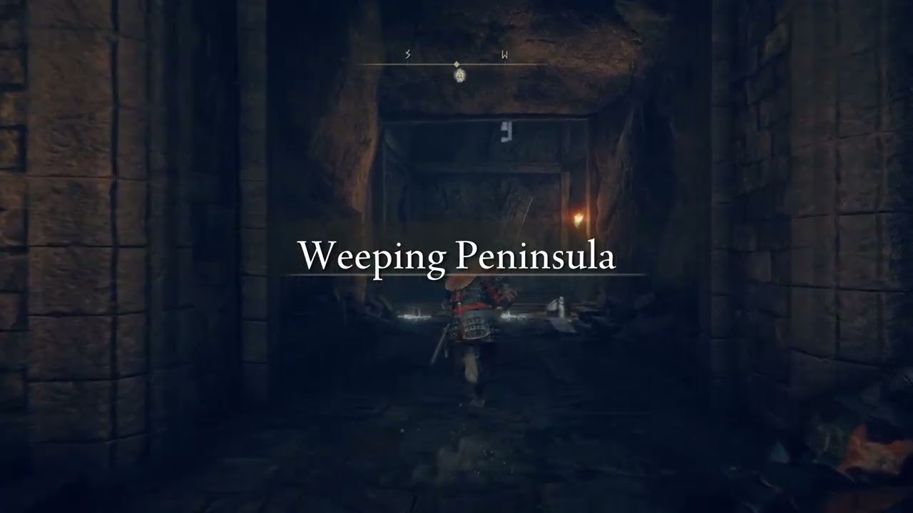 Leonine is no joke lol - Elden Ring pt 9