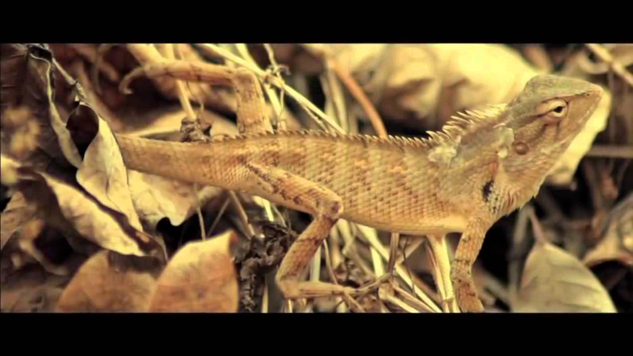 Crime No  89 Malayalam Movie Trailer