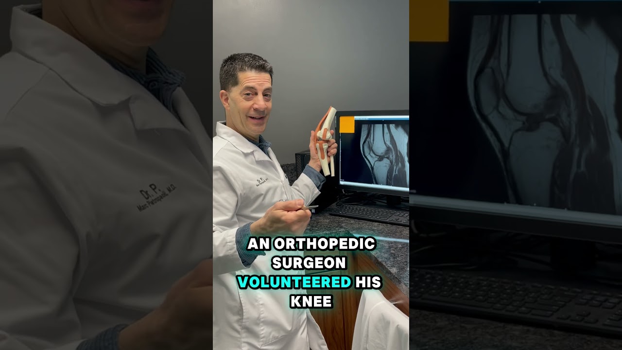 What is the fat pad? Can the fat pad cause pain?