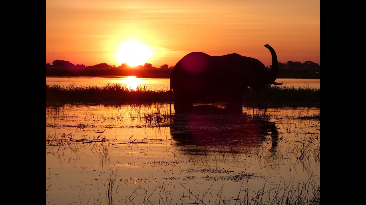 Botswana Safari - Part 1 of 5 - Chobe River