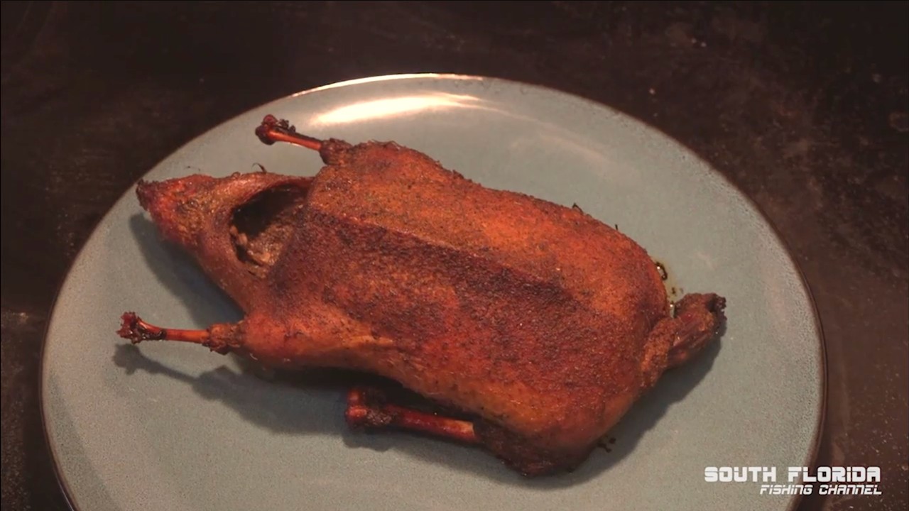 Smoking a WILD duck