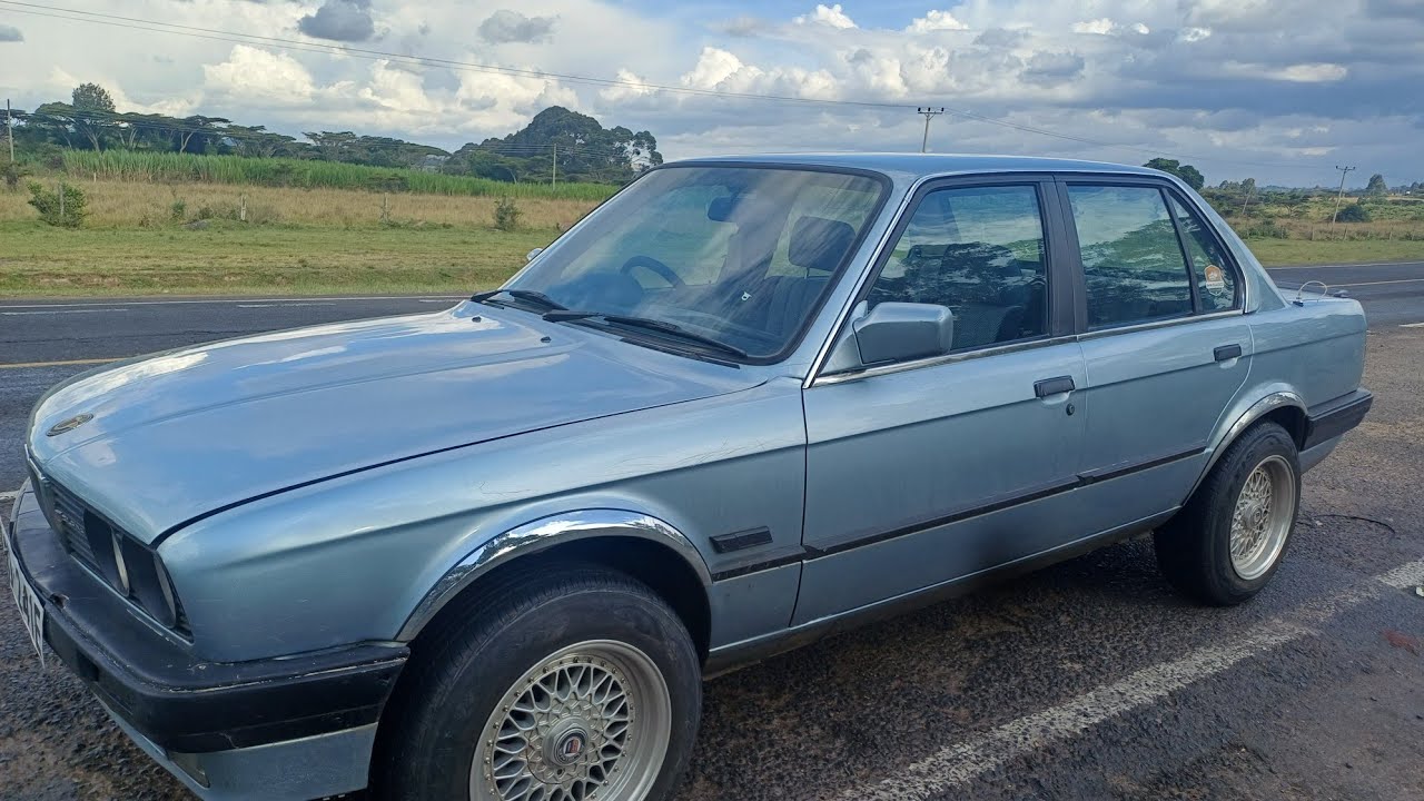 MAN VS MACHINE EPISODE 12: 🔥🐾TOOK THE PUPPY🐾 FOR A WALK 🐾ON THE HIGHWAY!🐾 #bmw #e30 #vlog #pov