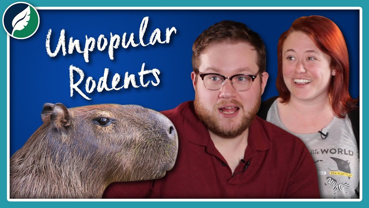 Why Are Rodents Unpopular?