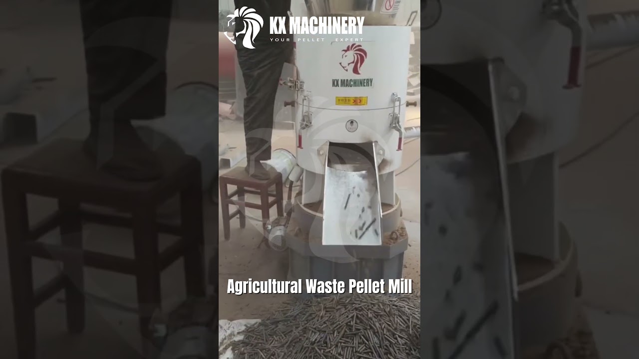 Agriculture Waste Pellet Mill Biomass Pellet Machine #pelletmachine #pelletmill
