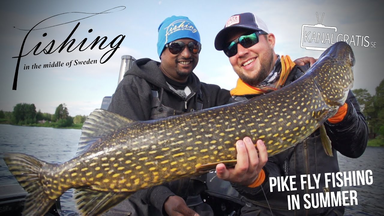 Fishing in the Middle of Sweden - Flugfiske efter g&auml;dda p&aring; sommaren - Kanalgratis.se