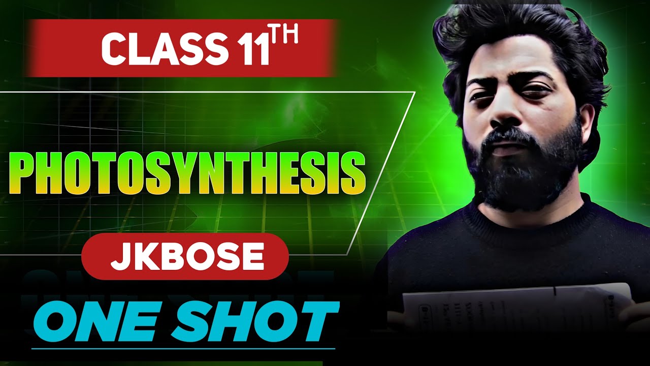 PHOTOSYNTHESIS in Higher Plants Class 11 JKBOSE  Biology