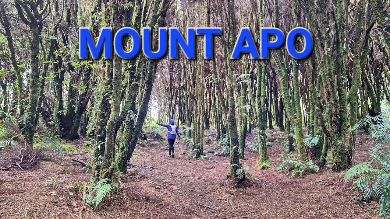 MOUNT APO - Climbing the Highest  Mountain in the Philippines 🇵🇭