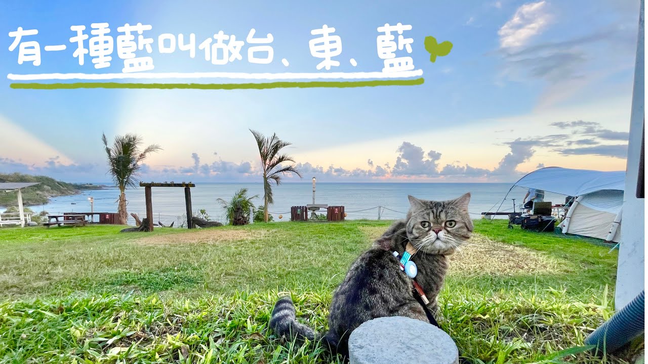 #43 帶著貓咪去車宿/台東/開箱PAMABE旅行車泊露營枕/昆布海灣露營區