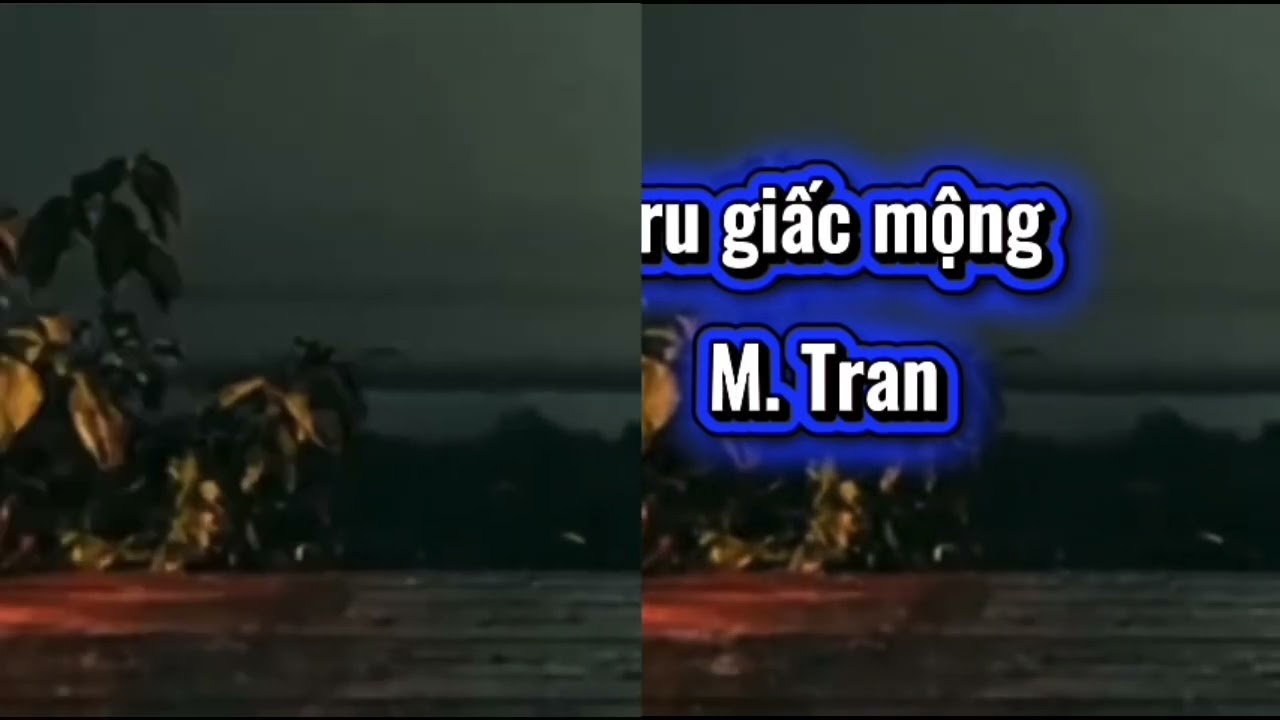 Đêm khuya ru giấc mộng (M. Tran)