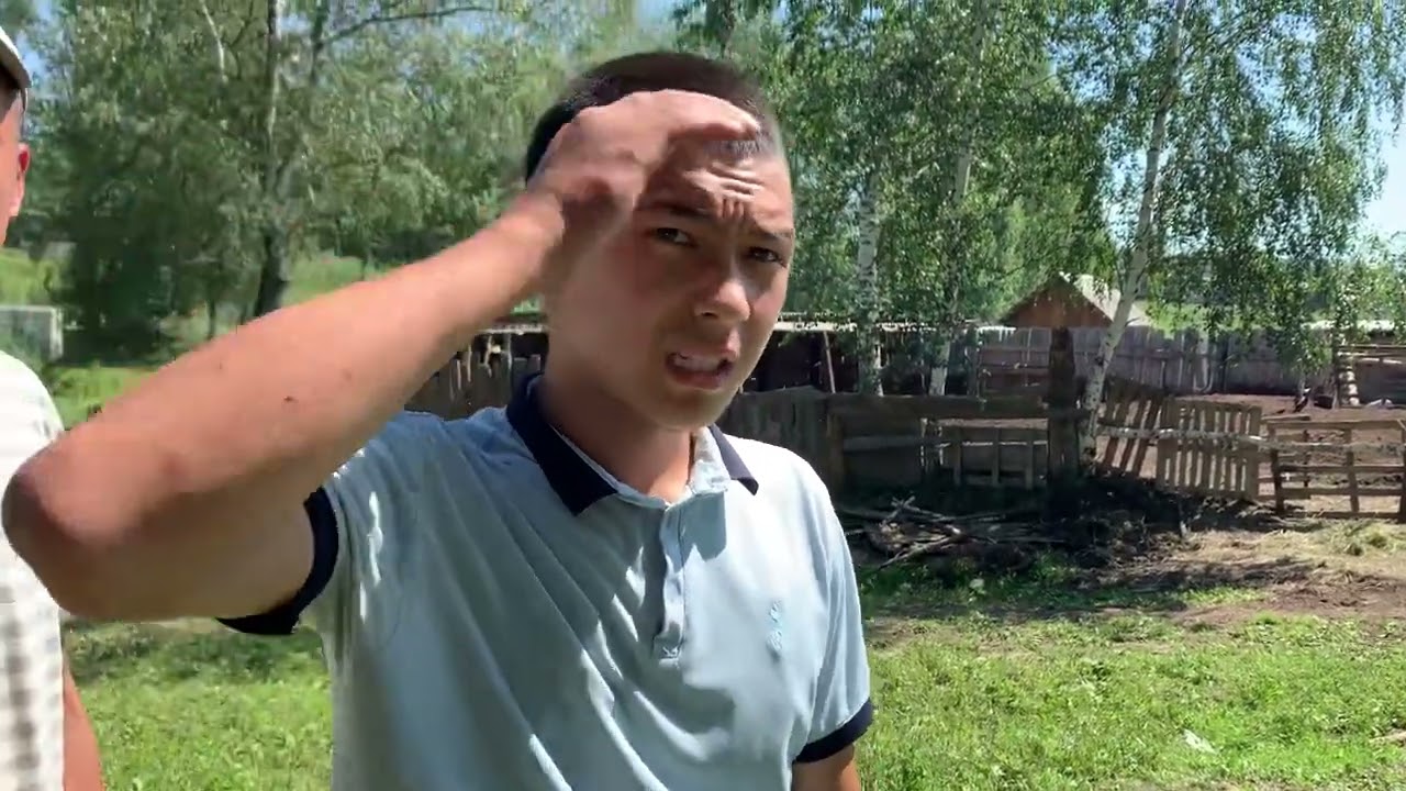 Алтайдан койлор келди учурда сатылууда