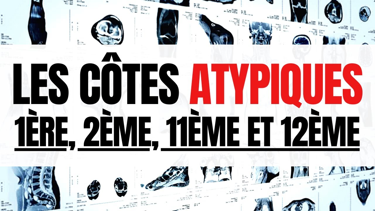 Anatomie des CÔTES ATYPIQUES (I, II, XI, XIIe)