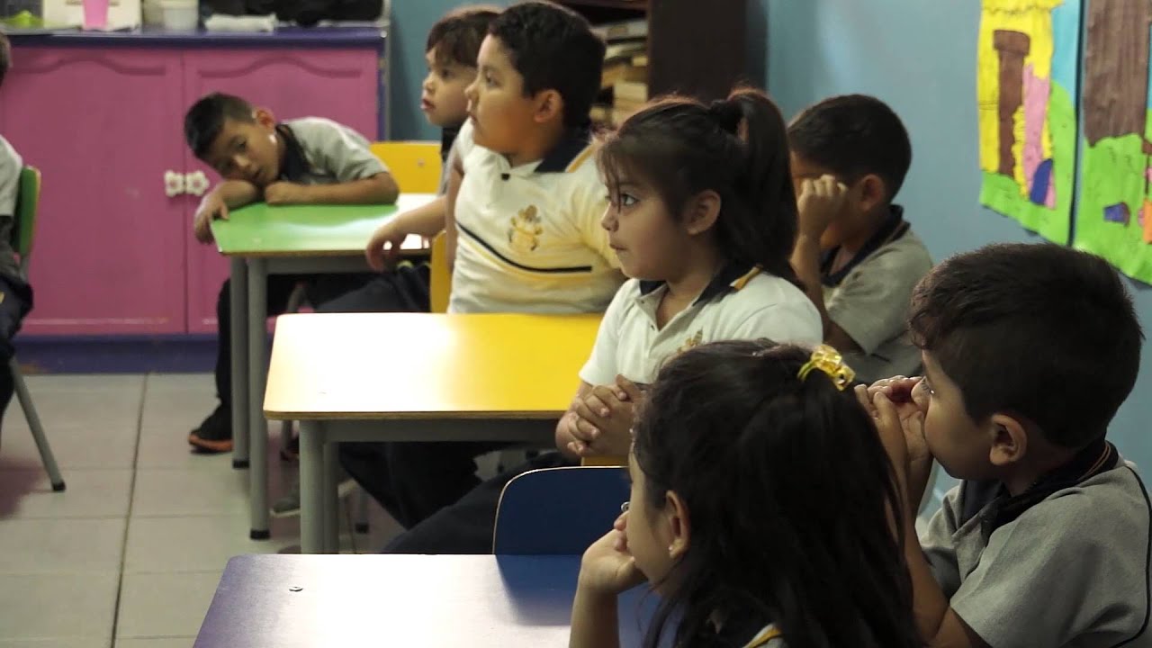 Las Partes y el todo Kinder