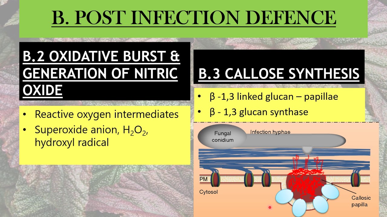 Resistance Mechanisms in Plants - Active Biochemical Defence