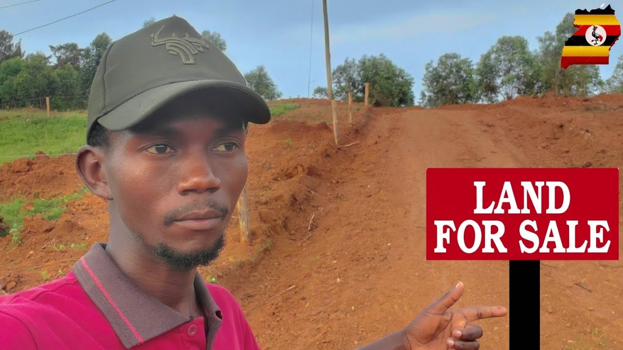 Land prices in Uganda,Buy your dream land at an affordable price today