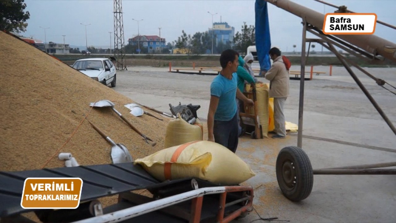 Başkan Toker 2016 Yılını Tarım Türk TV ye Değerlendirdi.