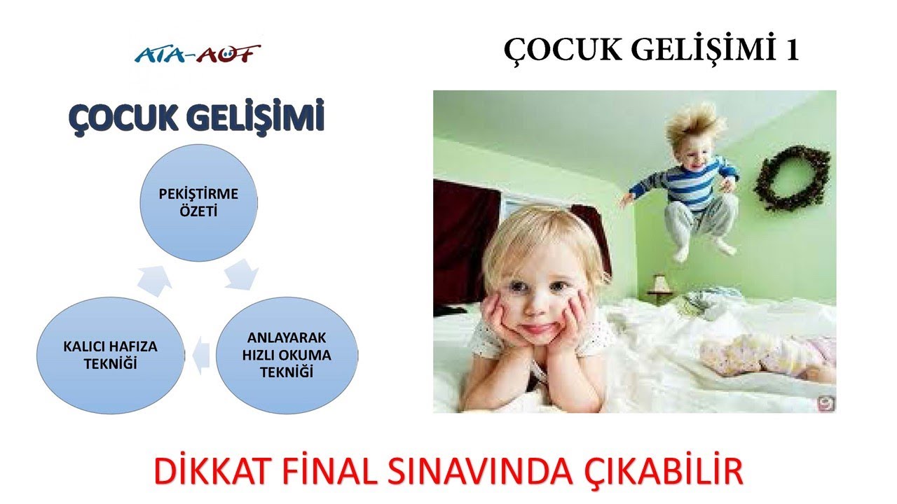 Çocuk Gelişimi 1 (Dikkat Final Sınavında Çıkabilir)