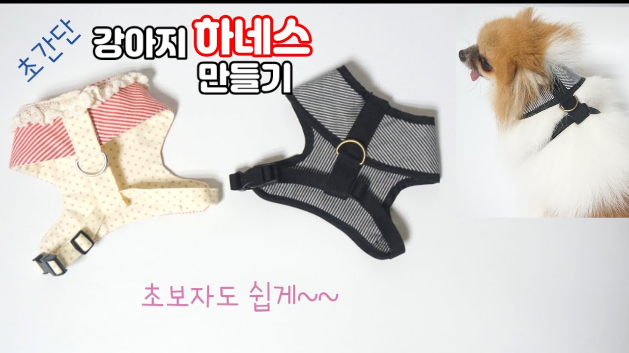 초간단 강아지 하네스 만들기 / 초보자도 쉽게 만들 수 있어요