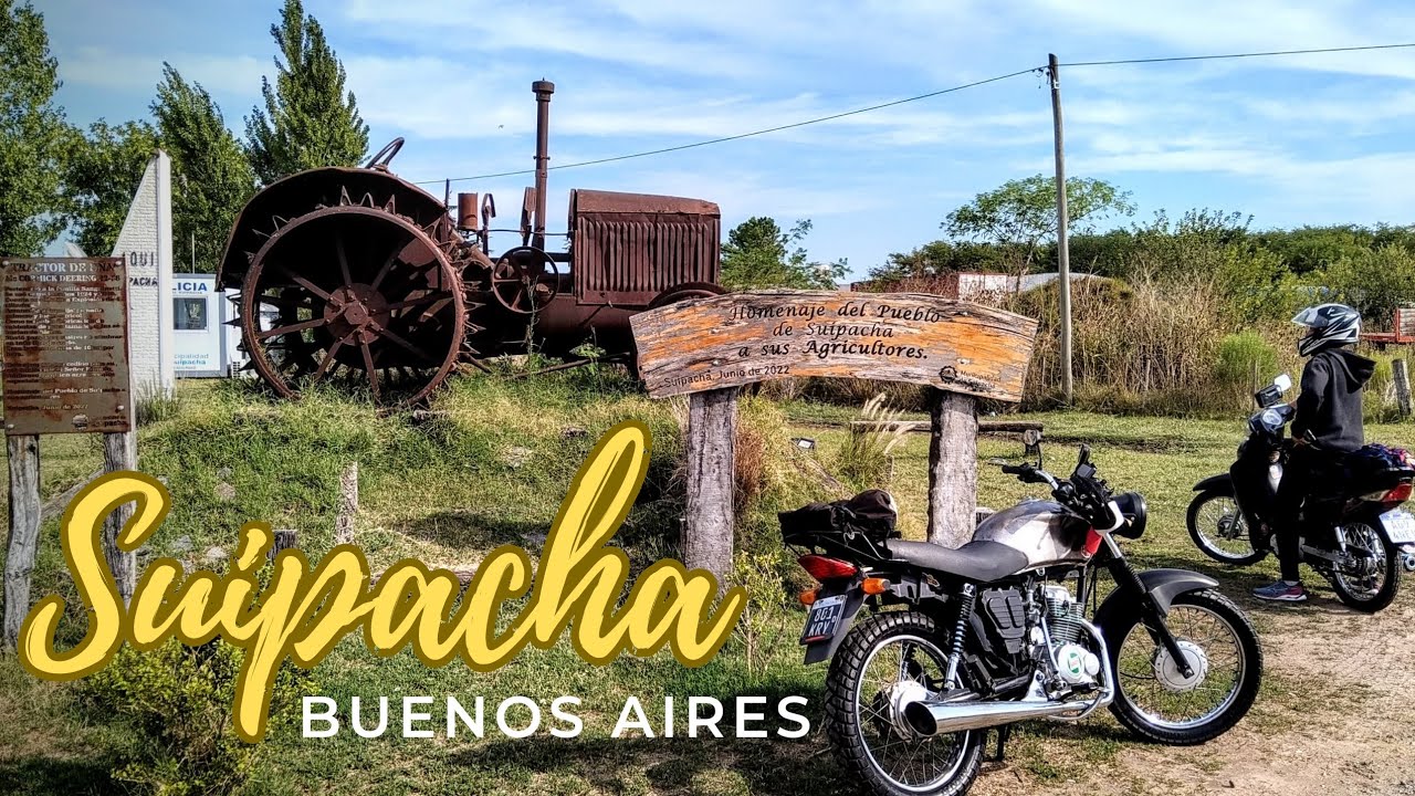Suipacha ( Buenos Aires )