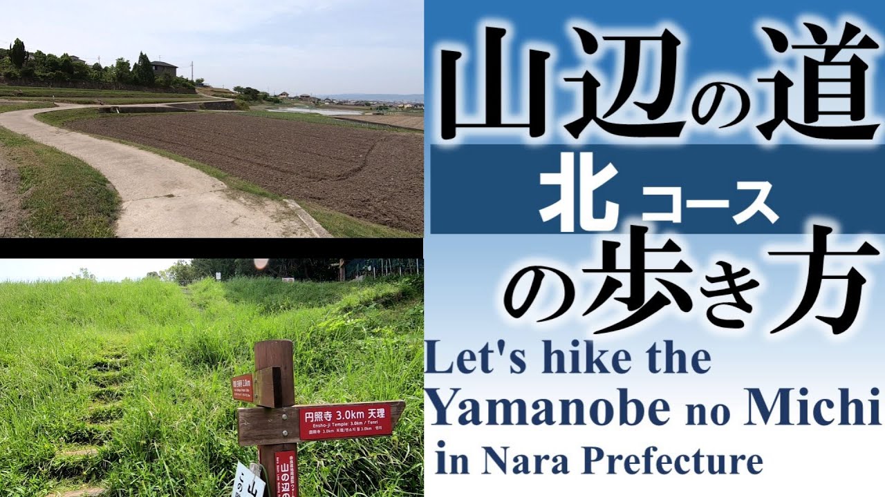 【北コース】山辺の道の歩き方｜春日大社→石上神宮