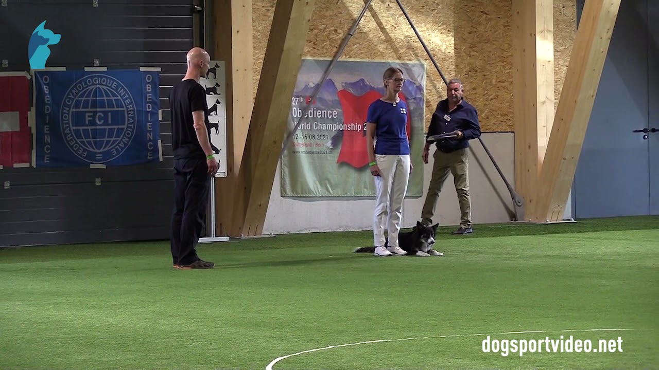 Finals - Maarit Hellman + Unlimited Star Gwen / Border Collie - Finland