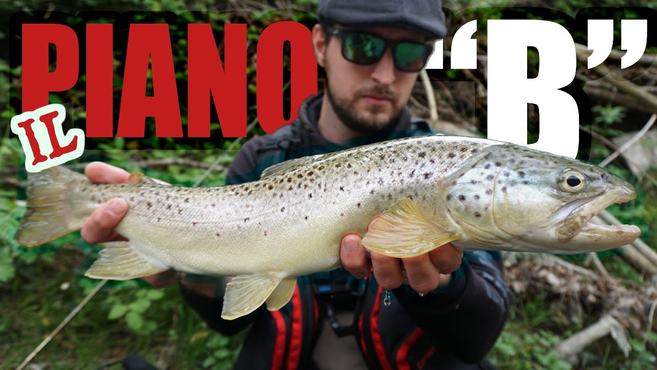 COMBATTIMENTO ASSURDO; la NOSTRA MIGLIORE sessione di SPINNING alla TROTA in TORRENTE