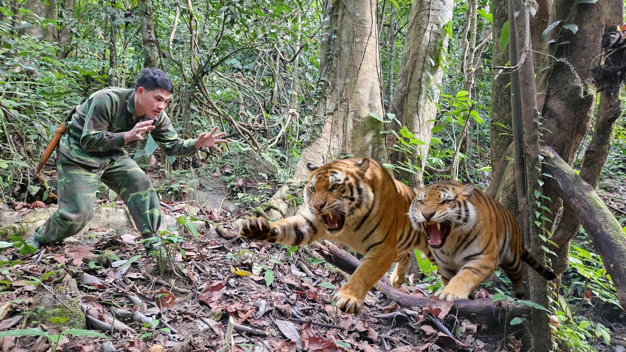 Deep in the Jungle: Mysterious and Dangerous Tracks Everywhere | Survival Skills