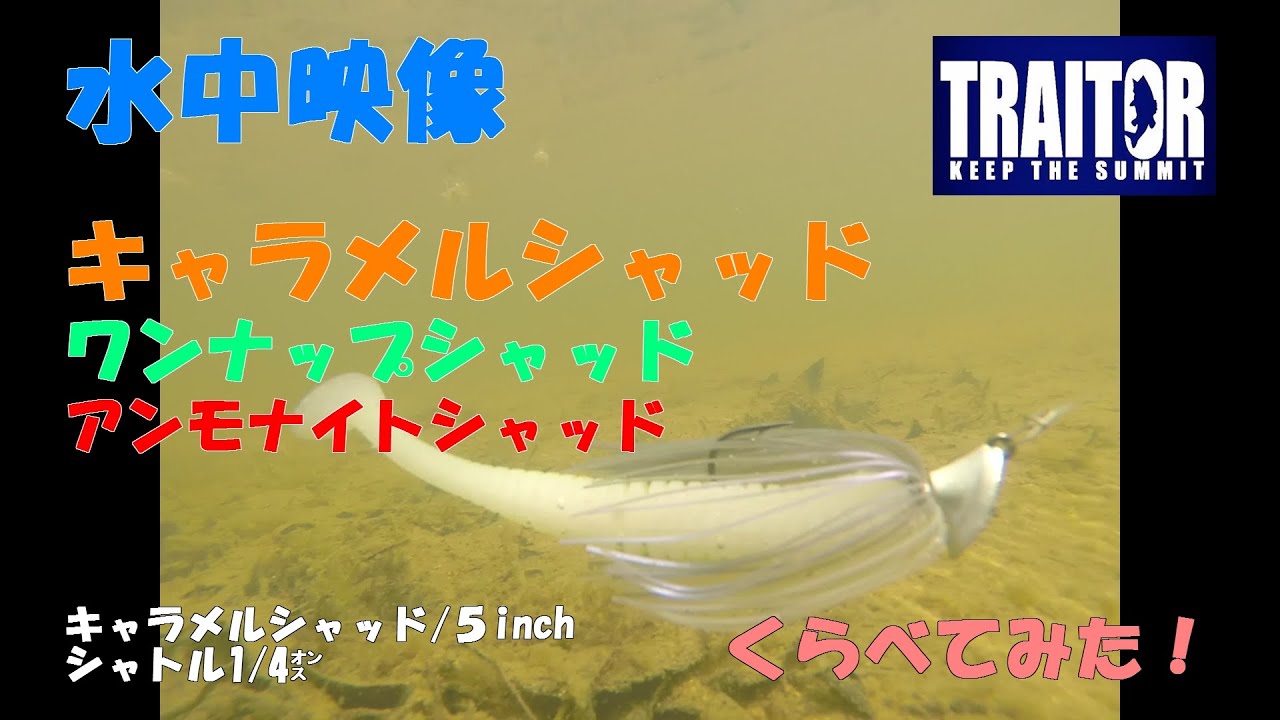 キャラメルシャッド  アンモナイトシャッド ワンナップシャッド 水中で比べてみた　バス釣り