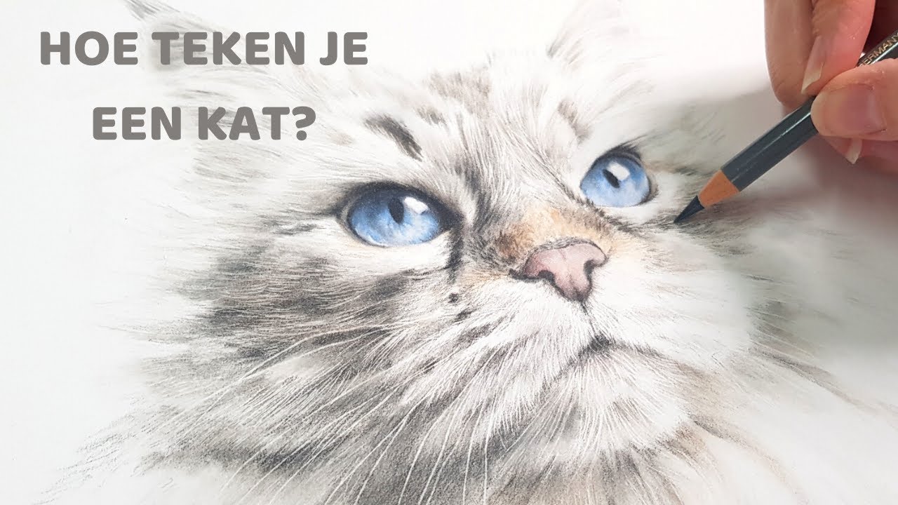 🤔Hoe teken je LICHTE vacht? (kleurpotlood) | LEREN TEKENEN voor beginners