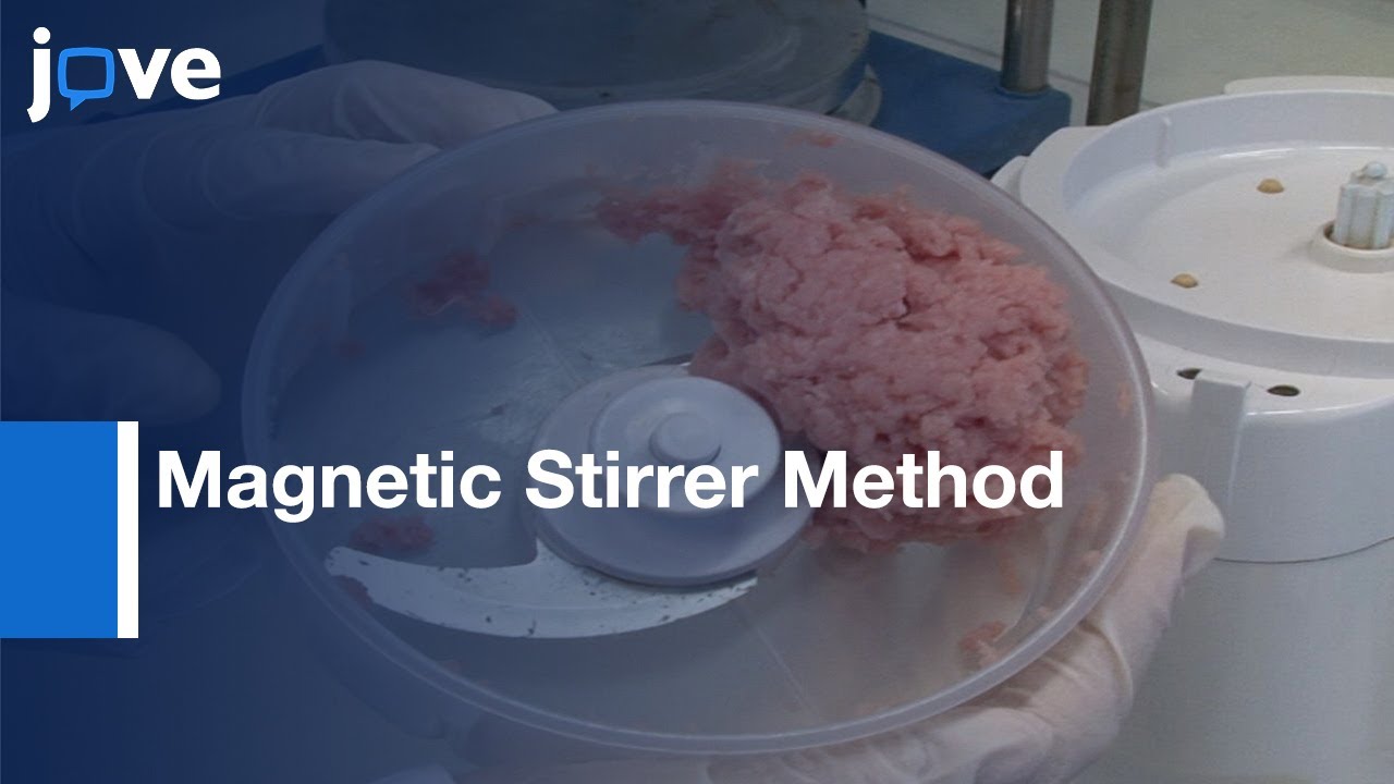 Magnetic Stirrer Method for the Detection of Larvae in Muscles | Protocol Preview