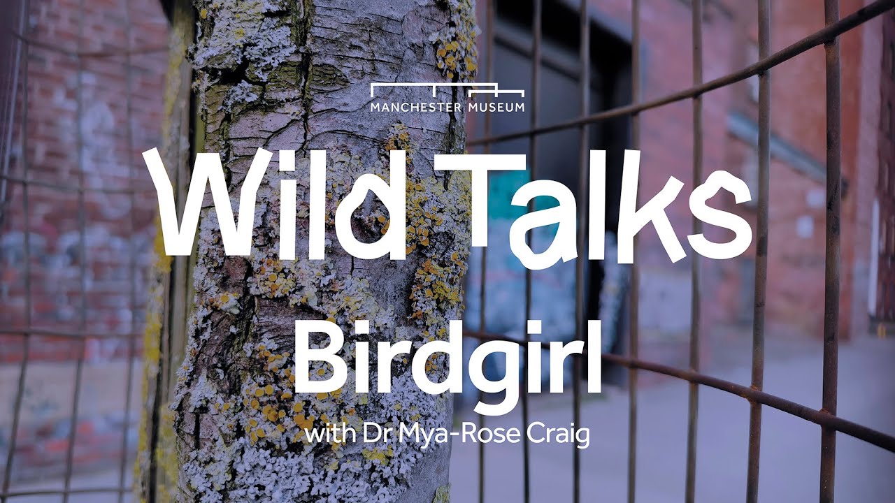 Wild Talks | Birdgirl with Dr Mya-Rose Craig | Manchester Museum